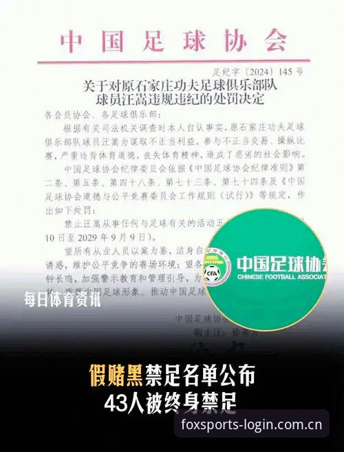 中国足协第三批禁足名单全面解析：从行业乱象看体育生态的深层变革
